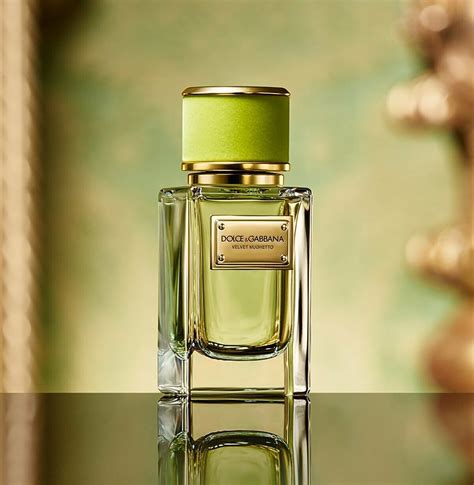 dolce gabbana velvet bergamot|Velvet Mughetto Dolce&Gabbana for women and men.